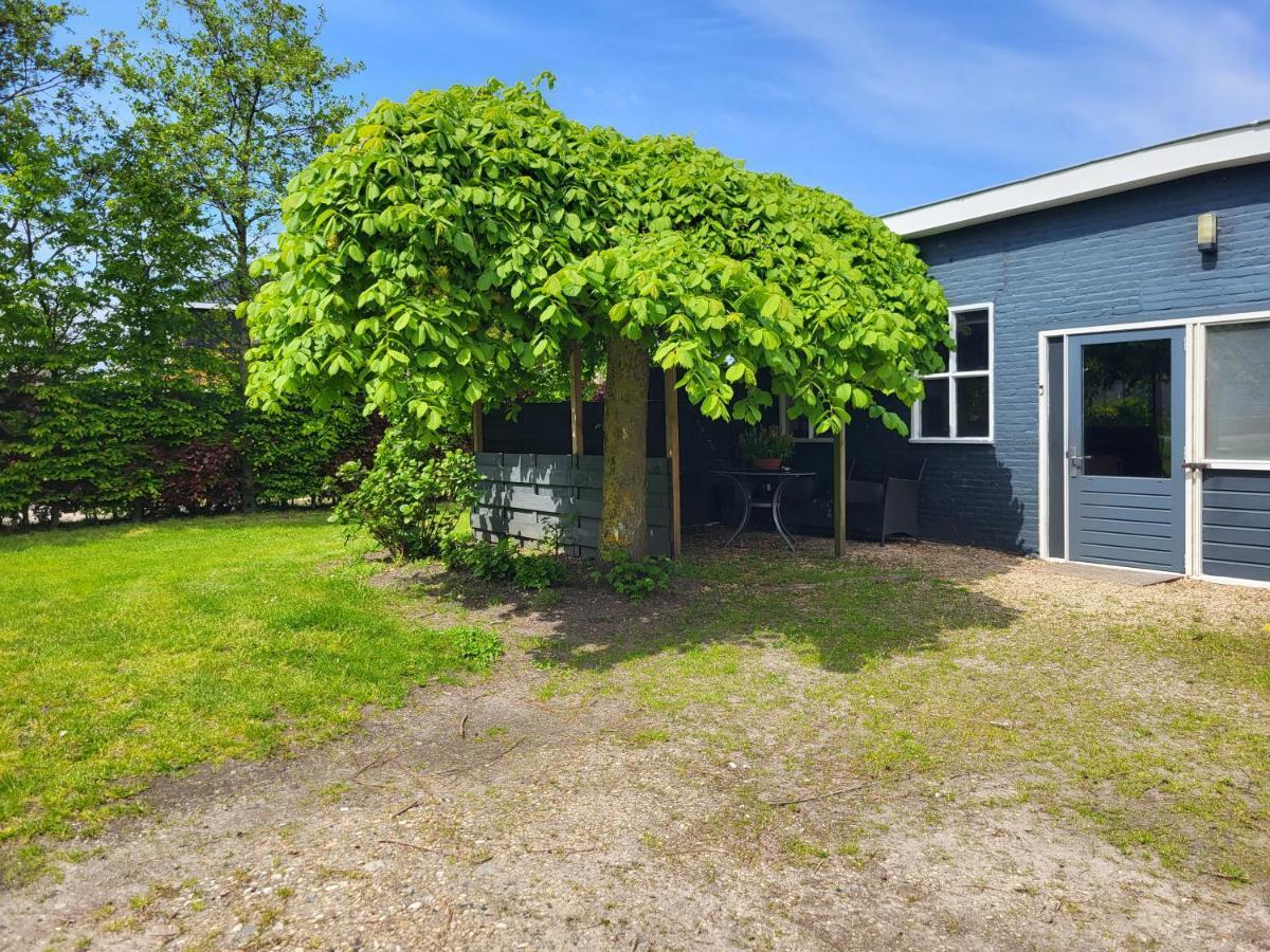 Luxe Bloemenzicht 4 Personen, Bnb, 10 Minuten Van Zee Breezand Eksteriør billede